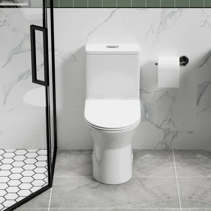 1.1/1.6 GPF Dual Flush 1-Piece Elongated Toilet, 12 in. Rough-In Rimless Bowl with Soft Closing Seat, White