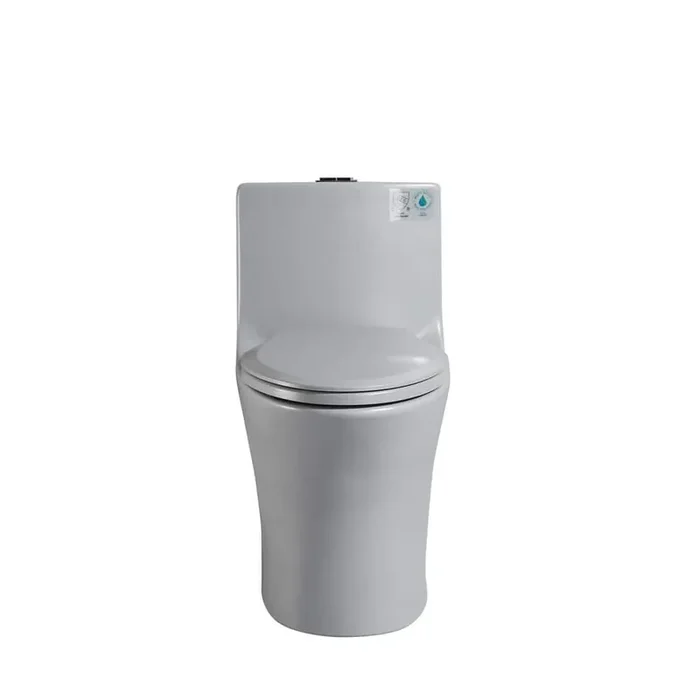 1.1/1.60 GPF Dual-Flush 1 Piece Elongated Toilet,Button on Tank Top, Soft Closing Seat,Water-Saving 1000g MAP, Grey