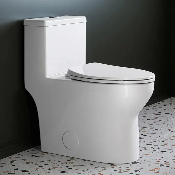 1-Piece 0.8/1.28 GPF Dual Flush Elongated 17 in. ADA Height Toilet in White with Map Flush 1000g High Quality Fill Valve