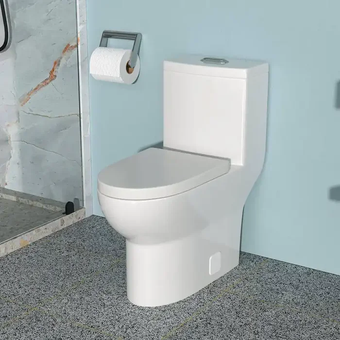1-piece 1.1/1.6 GPF Dual Flush Elongated Toilet in White Seat Included
