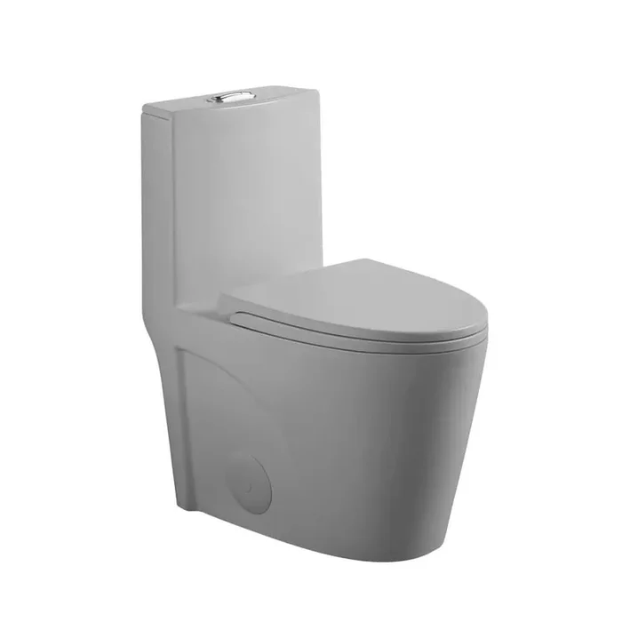 1-Piece 1.1/1.6 GPF Dual Flush Elongated Toilet with Soft Close Seat in Light Gray