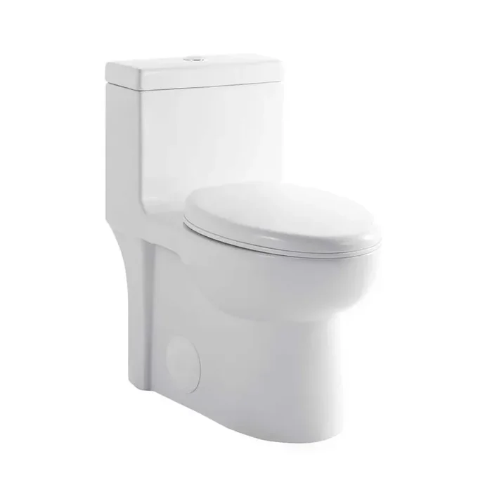 1-piece 1.1/1.60 GPF Dual Flush Elongated Toilet with Soft Closing Seat, Powerful Dual Flush MAP 1000g, Glossy White