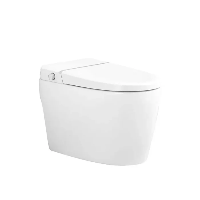 1-Piece 1.28 GPF Single Flush Elongated Smart Toilet Bidet Combo with Self-Cleaning Nozzle Power Outage Flushing White