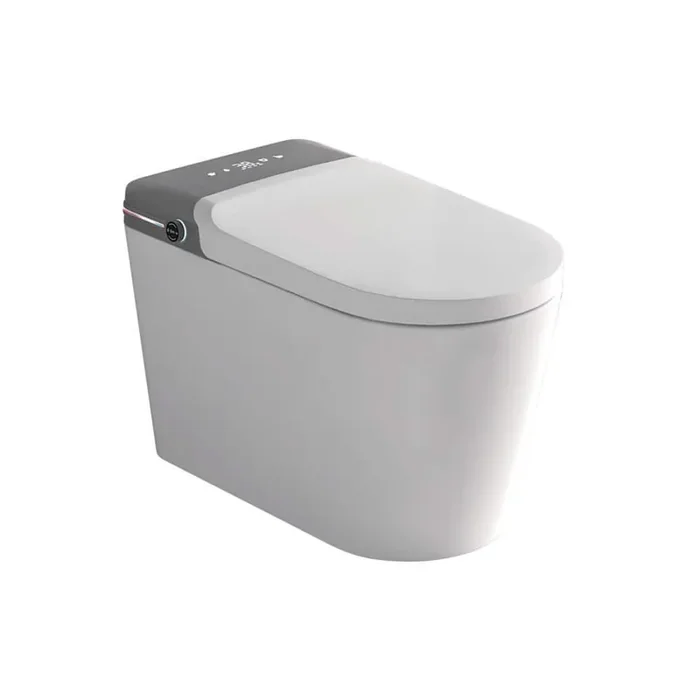 1-Piece 1.32 GPF Single Flush Auto Open/Heated Smart Bidet Toilet in White, Seat Included with Multiple Flushing Methods
