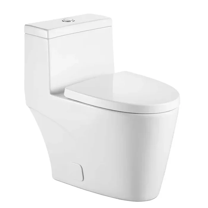 1-Piece 1.6 GPF/1.1 GPF Double Flush Elongated Toilet in White with Slow Close Seat Included