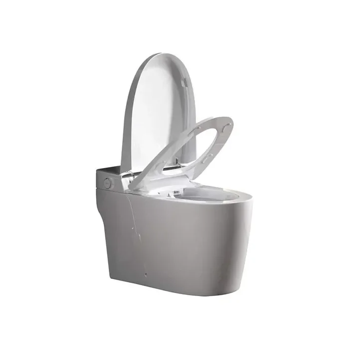 1-Piece Bidet Toilet with Warm Air Dryer Heated Seat LED Night Light Auto Open/Close Toilet