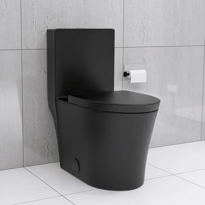 12 in. 1-piece 1.1/1.6 GPF Dual Flush Black Porcelain Elongated Toilet in UF Heavy Duty Soft Close Seat Included