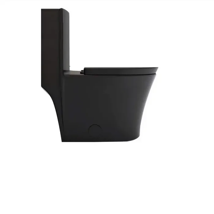 12 in. 1-piece 1.1/1.6 GPF Dual Flush Elongated 1-Piece Toilet in Black