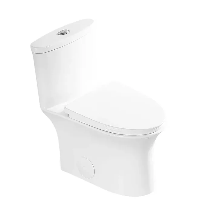12 in. 1-piece 1.1/1.6 GPF Dual Flush Elongated Toilet in Soft Close Seat Included