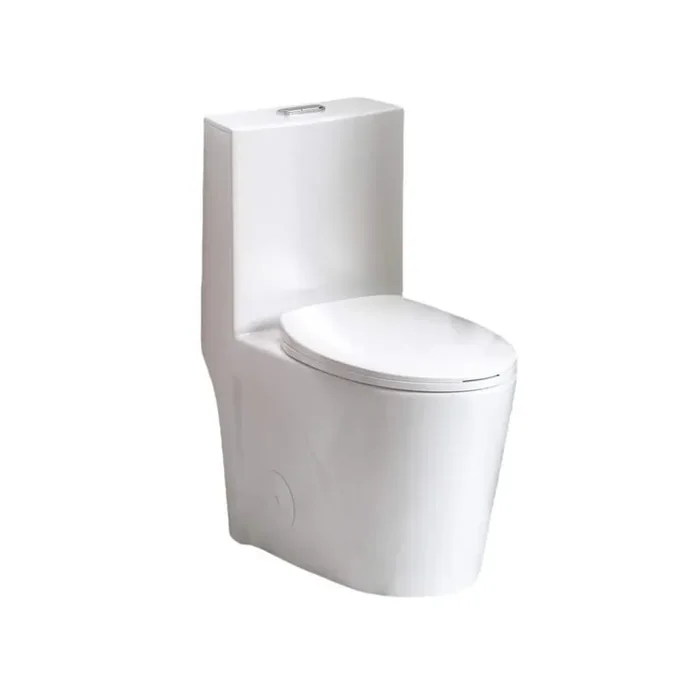 12 in. 1-Piece 1.1/1.6 GPF Flush Dual Flush Elongated Toilet in Gloss White