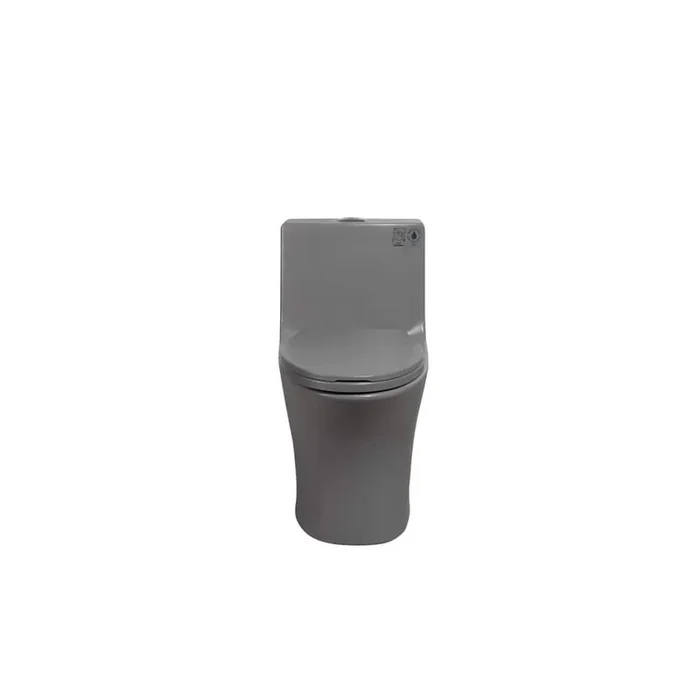 12 in. 1-Piece 1.1/1.6 GPF Water-Efficient Dual Flush Elongated Toilet in Gray Soft Closing Seat Included