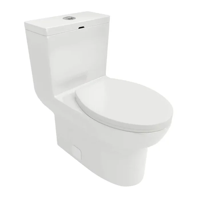 12 in. 1-piece 1.6/1.1 GPF Dual Flush Elongated Toilet in White Seat Included-C