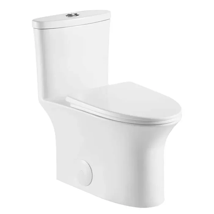 12 in. Rough-In 1-Piece 1.1/1.28 GPF Daul Flush Elongated Toilet in White with Seat Included