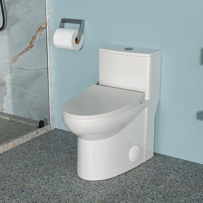 12 inch 1-piece 1.1/1.6 GPF Water-Efficient Ceramic Dual Flush Elongated Toilet in White Soft Closing Seat Included