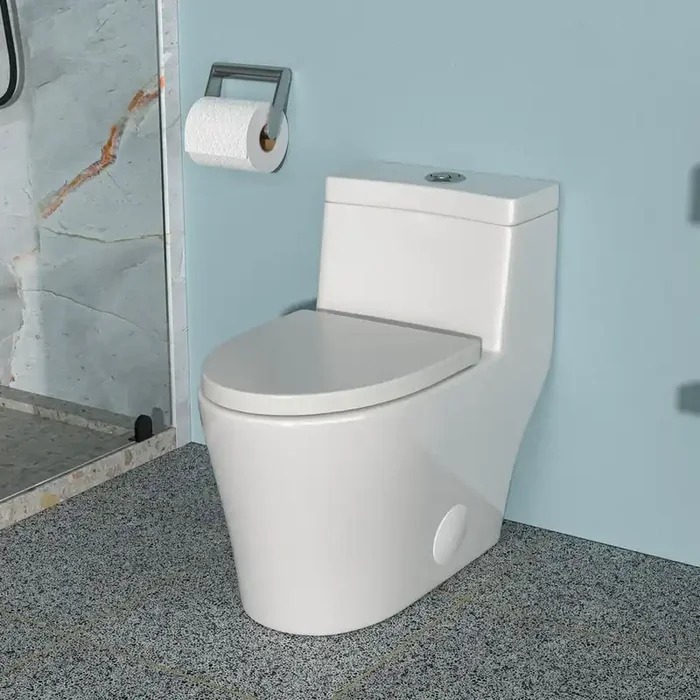 12 inch 1-piece 1.1/1.6 GPF Water-Efficient Dual Flush Elongated Heightened Toilet in White Soft Closing Seat Included