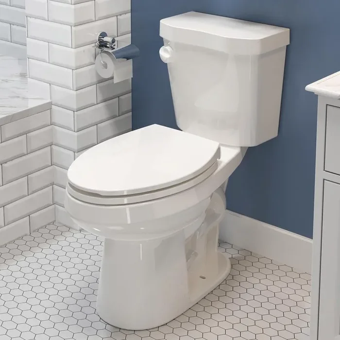 17 in. ADA 2-Piece 1.28 GPF Single Flush Elongated Toilet in White Map Flush 1000g, Soft-Close Seat Included