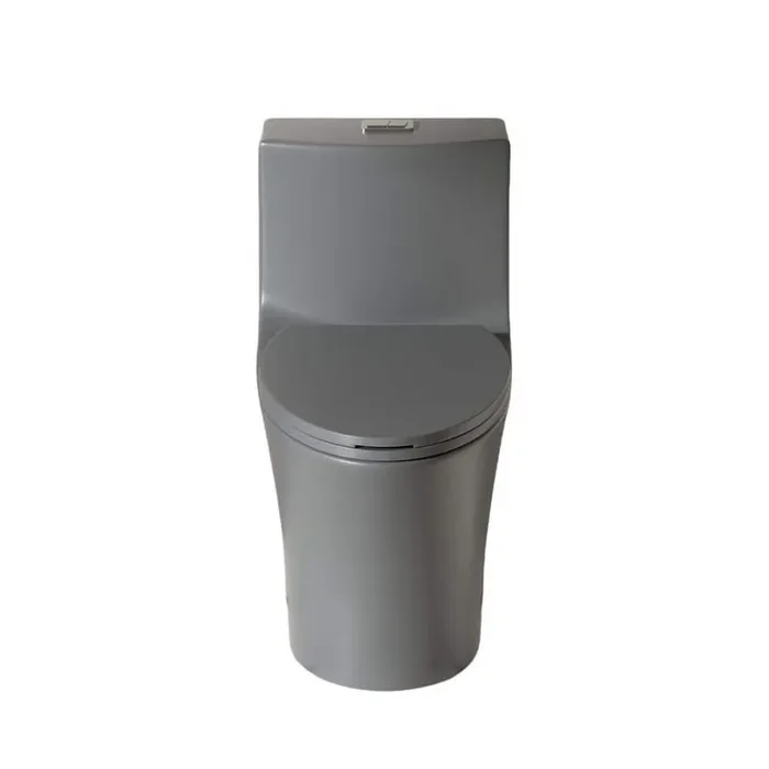 29 in. 1-piece 1.1/1.6 GPF Dual Flush Elongated Toilet in Light Grey Seat Included