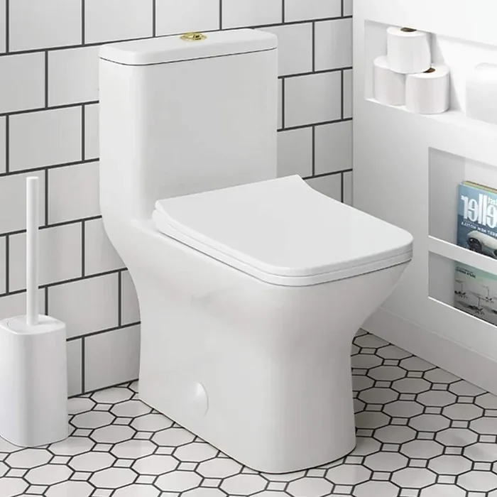 Carre 1-piece 1.1/1.6 GPF Dual Flush Square Toilet in. Glossy White with Brushed Gold Hardware Seat Included