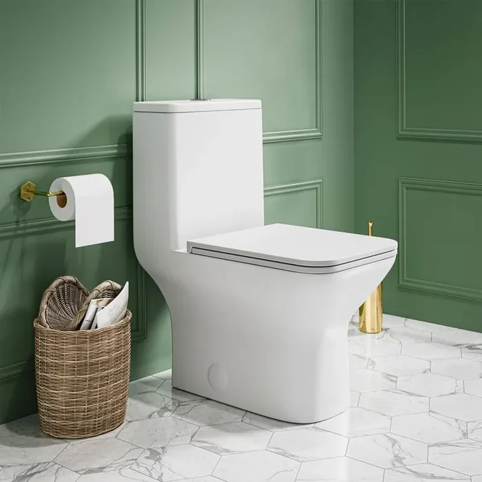 Carre 1-Piece 1.1/1.6 GPF Dual Flush Square Toilet in Matte White