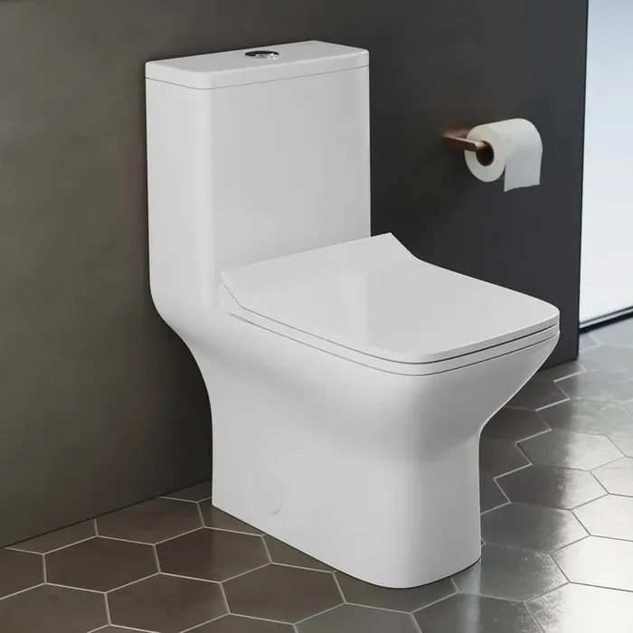 Carre 10″ 1-piece 1.1/1.6 GPF Dual Flush Elongated Toilet in Glossy White Seat Included