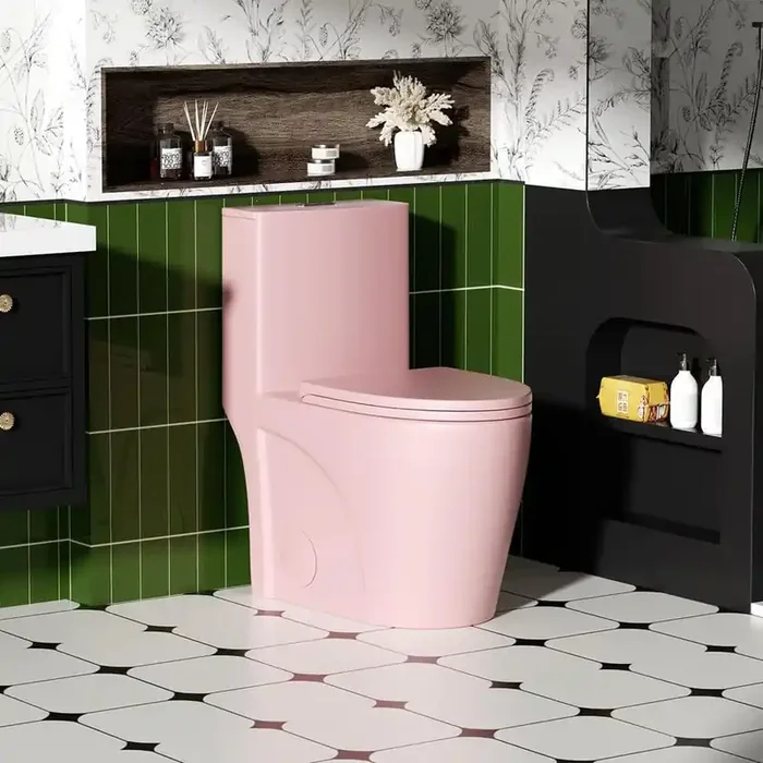 Dual Flush 1-Piece Toilet 1.1/1.6 GPF, 12 in. Elongated Bowl with Soft Close Seat, Water-Saving MAP 1000g, Pink