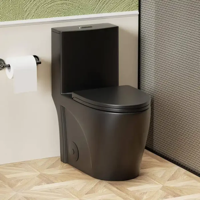 Dual Flush 1-Piece Toilet 1.1/1.6 GPF, Elongated Bowl with Soft Close Seat, MAP 1000g Siphonic Dual Flush 4/6Lpf,Black