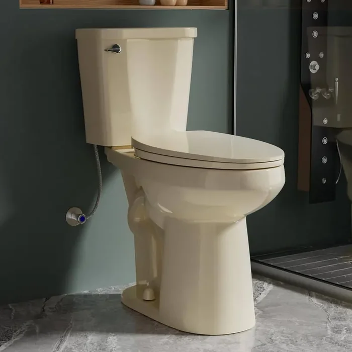 Elongated 19 in. Tall ADA Bone Toilet 2-Piece 1.28 GPF Single Flush with Soft Close Seat for Seniors, Easy Clean