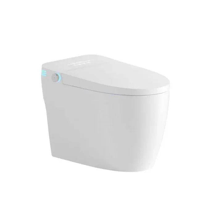 Elongated Bidet Toilet 1.28 GPF in White with Auto Flush, Auto Open/Close,Heated Seat,Warm Water and Dry,Adjustable Temp