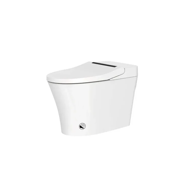 Elongated Bidet Toilet 1.28 GPF in White with Heated Seat, Automatic Flush, Dryer, Night Light, Digital Display