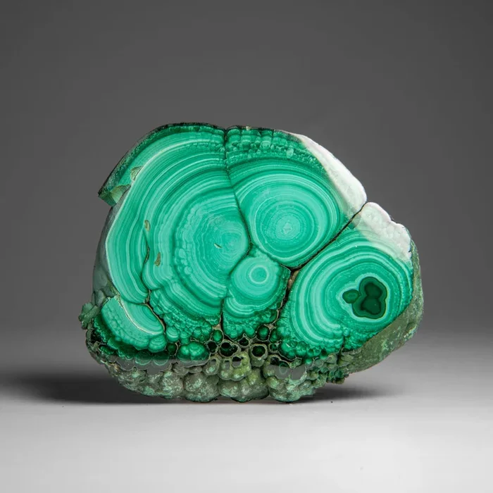 Genuine Polished Malachite Stalactite Slice (260 grams)