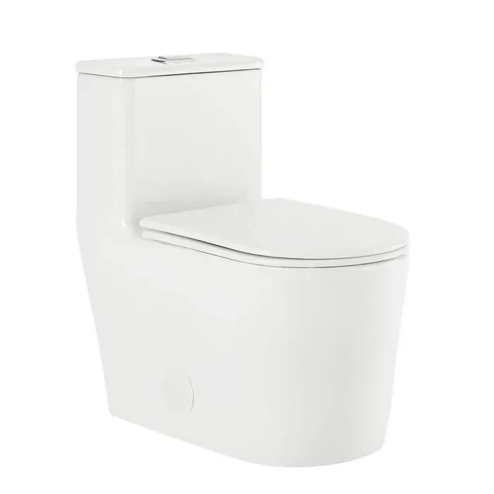 Liberte One-Piece 1.1/1.6 GPF Dual Flush Elongated Toilet in White