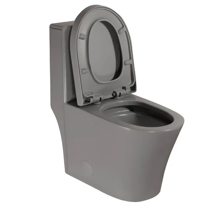 Matte Grey Elongated 1-Piece Toilet Dual Flush 1.1/1.6 GPF, Toilet in Almond Seat Included, Grey