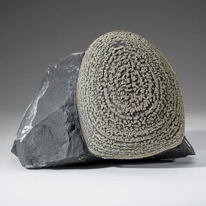 Pyrite Concretion (Boji Stone) From Dongchuan District, Kunming Prefec