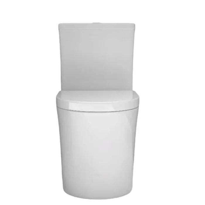 Small compact one-piece toilet, dual flush, 23 “short depth, Toilet in Oval Seat Included, white