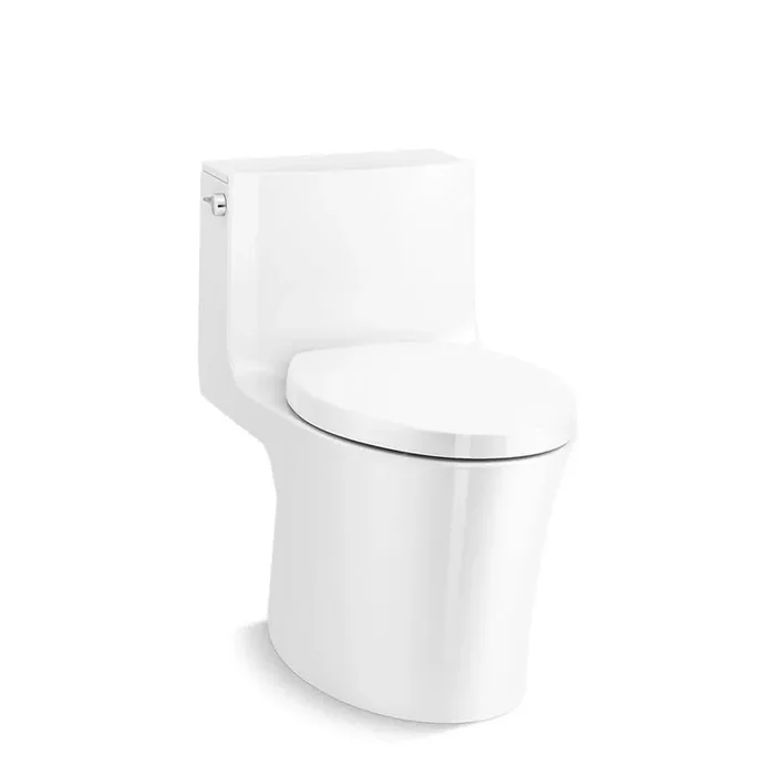 Veil 12 in. Rough In 1-Piece 0.8 GPF Dual Flush Elongated Toilet in White Seat Included