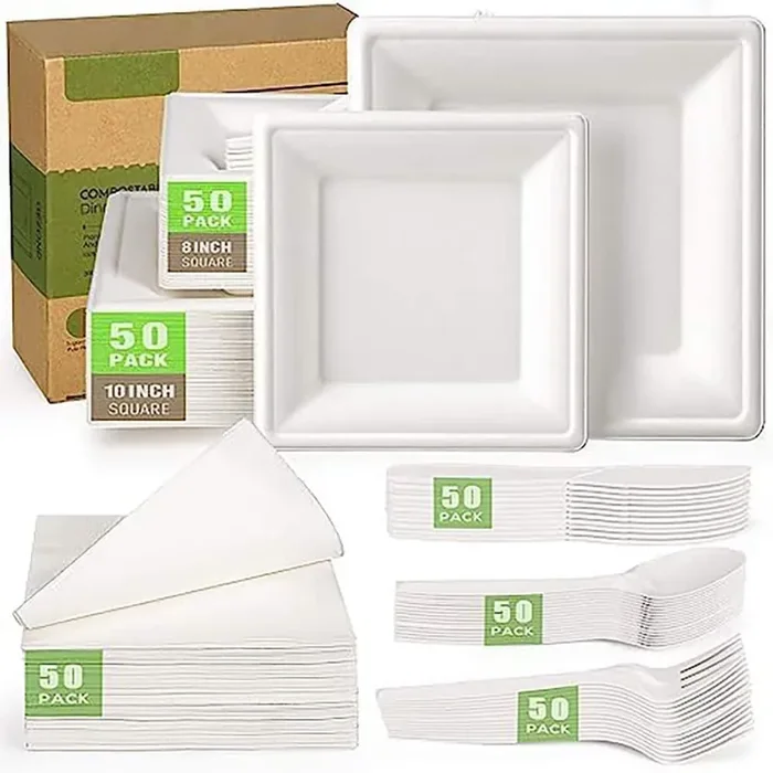 White Disposable Sugarcane Plates and Cutlery Set (300-Piece Per Case)